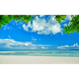 絵画風 壁紙ポスター （はがせるシール式） 沖縄の海景色 緑と空と海と白浜のハーモニー 白砂が美しい沖縄、竹富島コンドイ浜 ビーチ 絶景 キャラクロ M-OKN-007W1（ワイド版 921mm×576mm）建築用壁紙＋耐候性塗料 ＜日本製＞ ウォールステッカー お風呂ポスター (ワイドW1版)