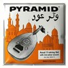 Pyramid ARABIC AOUD (Orange Label) Nylon 11-string Set (with D3