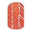 Jamberry Nail Wraps: Arrow (FULL SHEET)