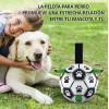 Pelota De Fútbol Para Perros Con Correas Juguete Interactiva Futbol