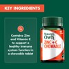 Nature's Own Zinc + C Chewable 60 Tablets