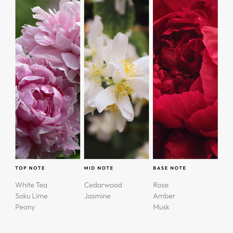 Aroma360 Fragrance Diffuser Oil - Luxury Hotel Inspired - London