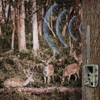 Long Range Cellular Trail Camera Upgrade Replacement SMA Male Antenna