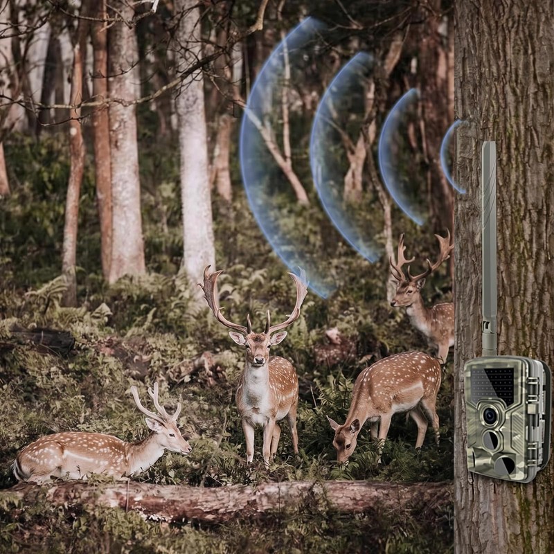 Long Range Cellular Trail Camera Upgrade Replacement SMA Male Antenna
