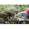 Spear & Jackson 56418G Green Garden Snips