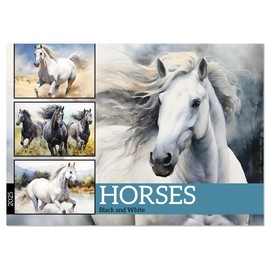Horses. Black and White (Monthly Wall Calendar 2025 16.5" x 23.4" (open)), CALVENDO 14 Month Calendar