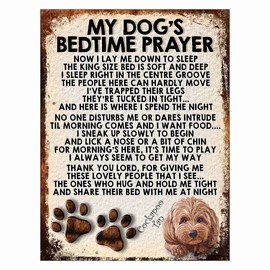 Shawprint Limited MY DOG'S BEDTIME PRAYER RETRO STYLE METAL TIN SIGN/PLAQUE (385DRM) COCKAPOO TAN