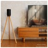 HOOKMEMO Speaker Stand for Sonos Era 100,Black Walnut Material. (Black