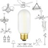 Leools E26 Frosted Edison Bulb 4W Equivalent E26 LED Bulb