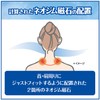 [MIONO] [AIR SEVEN] Kihei Magnetic Necklace Chain, Stiff Shoulder, Promotes