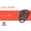 Rakuten Golden Eagles x GP Baseball Gloves Soft General All