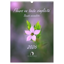 Fleurs en toute simplicité - Beauté minimaliste (Calendrier mural 2026 DIN A3 horizontal), CALVENDO calendrier mensuel: Un calendrier délicat et ... pour douze mois de beauté minimaliste.