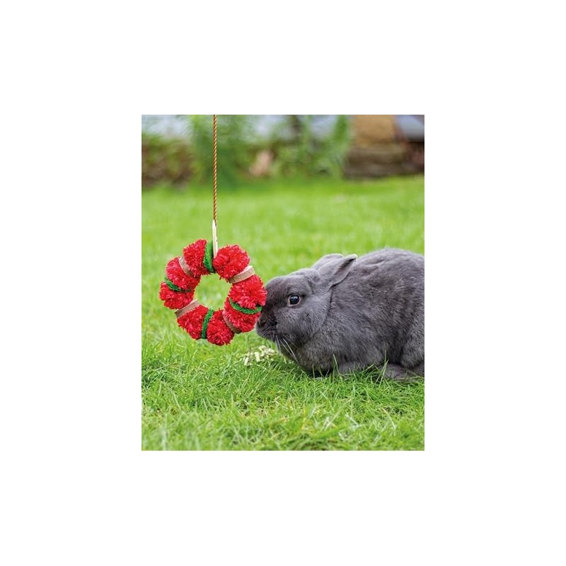 Rosewood Christmas Wreath Toy for Small Animals, 8cm diameter