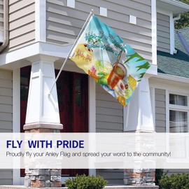 Anley Fly Breeze 3x5 Foot It's 5 o'Clock Somewhere Flag - Vivid Color and Fade Proof - Canvas Header and Double Stitched - Sandy Beach Flags Polyester with Brass Grommets 3 X 5 Ft