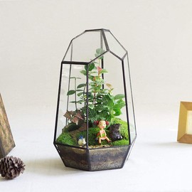 Geometric Glass Terrarium for Indoor Plants,Irregular Clear Planter,Black Opened Container Pot for Cacti,Succulents and Moss,Home Garden Office Tabletop Decor,6.5x5.7x9.8'' No Door