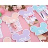 Mouse 12 Months Photo Banner - Pastel Rainbow First Birthday