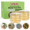 Mold Test Kit for Home, 8 Detection Tests for HVAC,