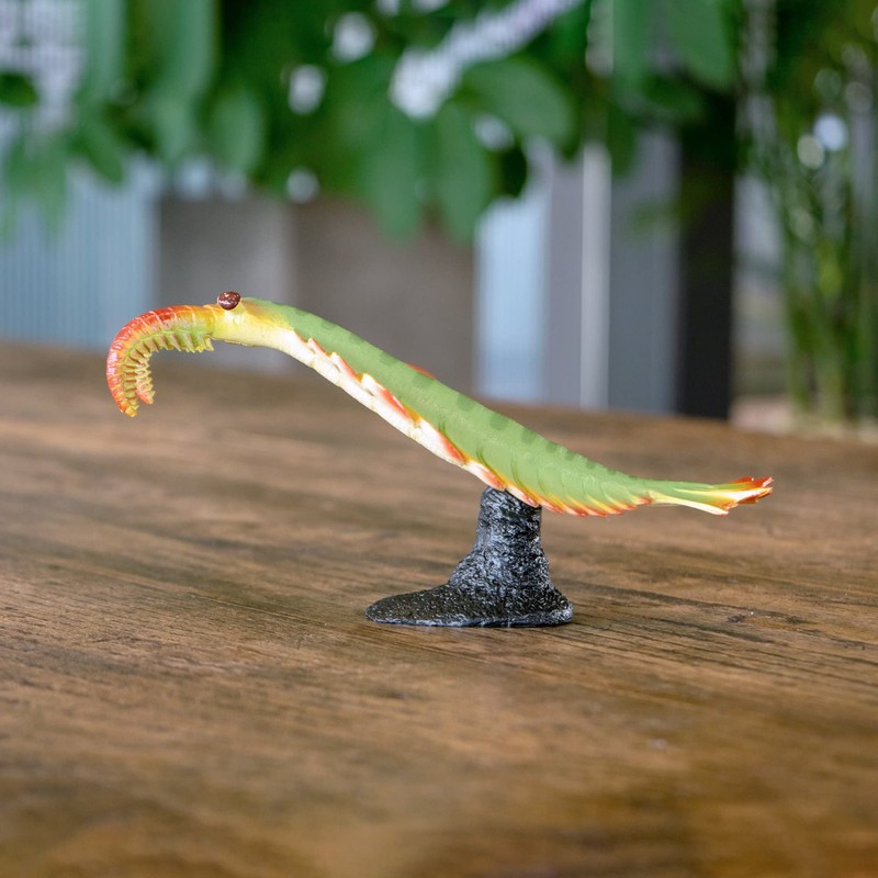 anomalocaris soft model (fp-009)