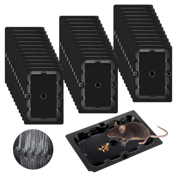 Qualirey 36 Pack Mouse and Insect Glue Traps, Strong Sticky