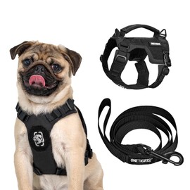 Onetigris Mini Trooper Small Dog Harness and Leash Set, No Pull Dog Harness Fully Adjustable Harness for Puppy Dog and Cats, Dog Vest Harness for XXXS XXS XS Pets(Black, XS)
