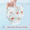 Oosh Baby Training Pants Reusable, Waterproof, Absorbent Potty Training Underwear