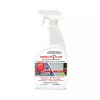Dumond Watch Dog Smooth Surface Graffiti Remover - 22oz Spray
