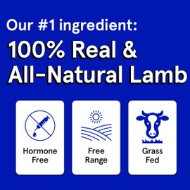 Real Meat Dog Treats - Three 12oz Bag of Bite-Sized Air-Dried Lamb Jerky for Dogs - Grain-Free Jerky Dog Treats Made up of 95% Human-Grade, Free-Range, Grass Fed Lamb - All-Natural Dog Treats