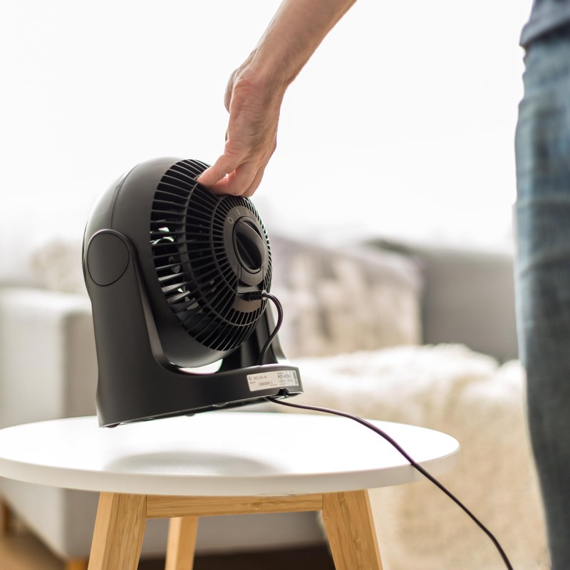 IRIS USA Desk Fan, Air Circulator, 3 Speeds, 52ft Max