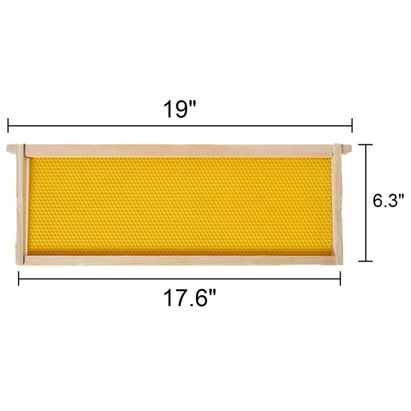 BeeCastle Medium Beehive Frames and Wax Foundations,10 Pack Honey Bee