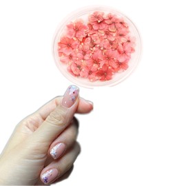  1 Boxes 50 pcs Nail Drying Flower, DIY, 3D Nail Art, Plant Theme, Irregular Shape, Flower Stickers Suitable for Care and Small Natural Nail Decoration, Accessories. (Madrid Apricot Powder)