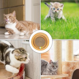 Dr Adorable Pure Buriti/fruit Exotic Oil Cold Pressed Organic Passionfruit 12oz