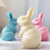 3D Rabbit Candle Silicone Molds Easter Bunny Resin Casting Mould