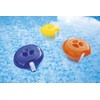 Chemicals with Thermometer Diameter 18 cm Pool Chlorine Dosage Float,
