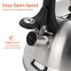 ROSSETTO Kettle Induction Tea Kettle Whistling Kettle Stainless Steel Camping