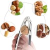 YunZCHENSH Nutcracker Stainless Steel Walnut Opener Tool Heavy Duty with