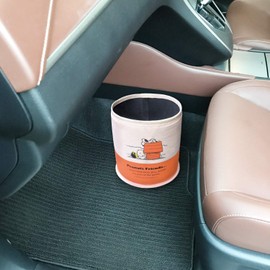 Snoopy & Friends SN71 Dust Box