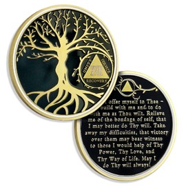 18 Years Sobriety Chip Tree of Life AA Coins and Medallion Alcoholics Anonymous Coin Recovery Anniversary Token Sobriety Gifts for Women Men