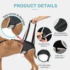 Dog Hip Support Brace - for Surgery Rehabilitation and Mobility