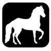 Paso Fino Horse plain TP 595 6" Decal Sticker saddle