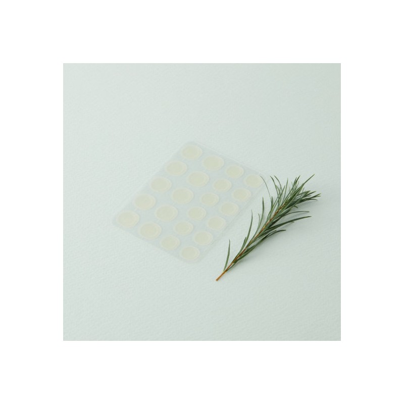 Mediheal Derma Clear Tea Tree Trouble Spot Patch 6-Pack /