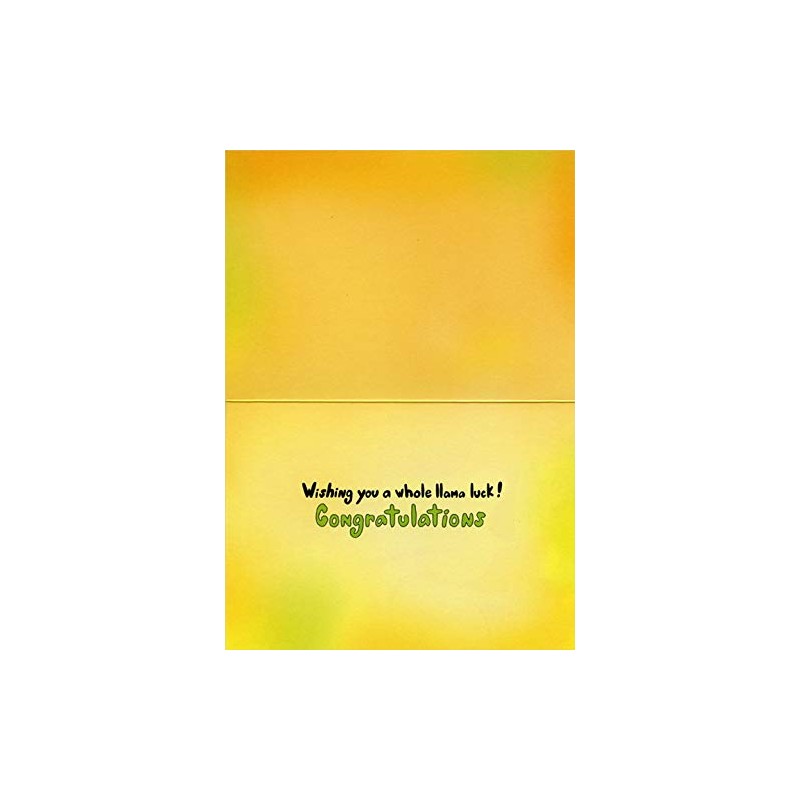 Cool Llama Funny/Humorous Graduation Card