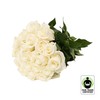 Bloomingmore Flowers, 50 Farm Fresh Fair Trade White Roses, 50