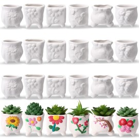 Leitee 18 Pcs Paint Your Own Ceramic Pot Bulk Back to School Succulent Pots Ready to Paint Small Pot Mini Succulent Planters Pottery Painting(Romantic Flowers)