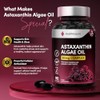 HealthEssent Astaxanthin High Strength Algae Oil 80mg Complex - Microalgae