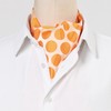Allegra K Men's Ascot Tie Necktie, Polka Dot Pattern, Wedding