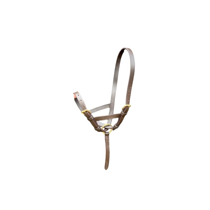 Horse Leather Foal Slip Headcollar with Solid Brass Fitting S-M-L