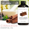 Brooklyn Botany Brooklyn Botany Cinnamon Essential Oil - Huge 4