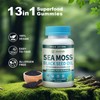 Vegan Ashwagandha Sea Moss Gummies - Black Seed Oil, Vitamin