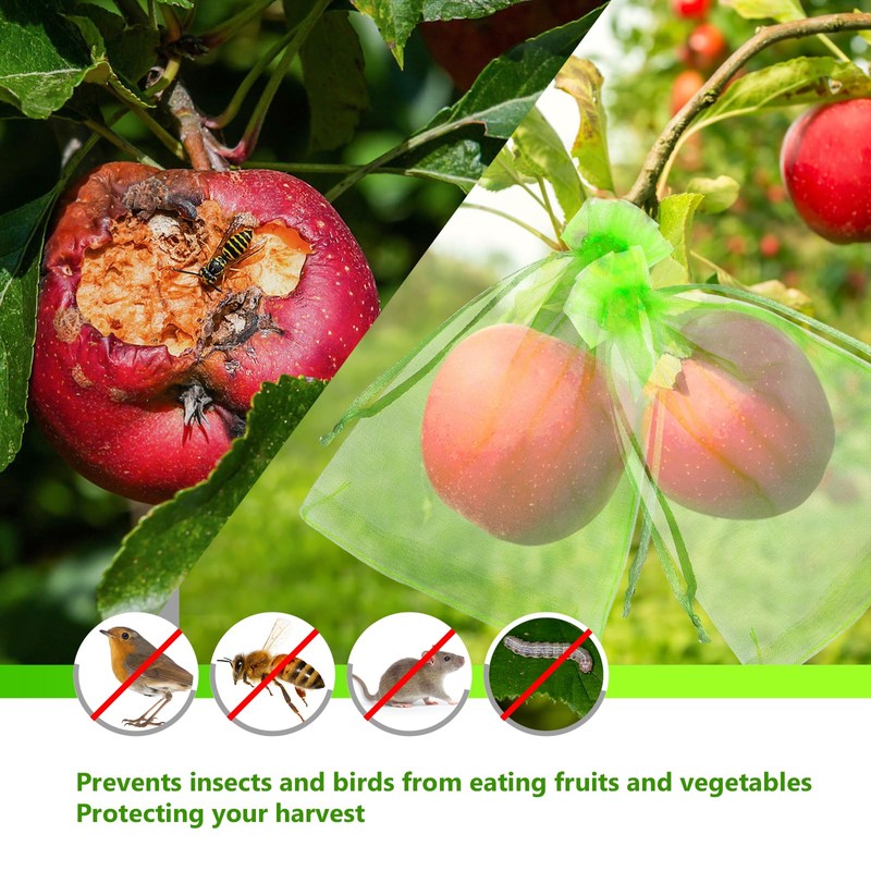 GWHOLE 50pcs 6x8 Inch Fruit Protection Bags, Fruit Cover Mesh