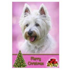 Westie/West Highland Terrier Dog Christmas Card 'Merry Christmas' - Special Animal Xmas Card for Him Her from Pets Kids